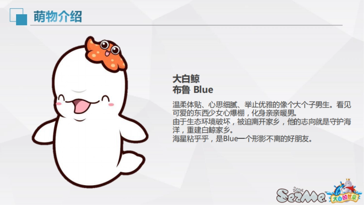 大白鲸世界品牌手册_第4页