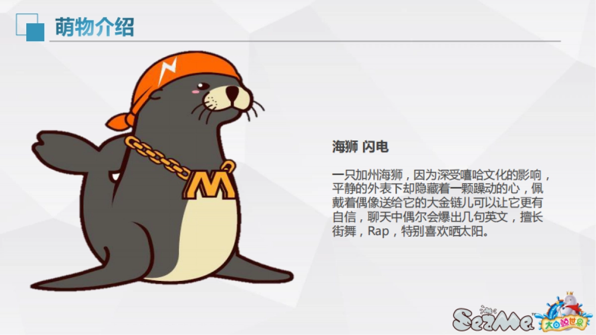 大白鲸世界品牌手册_第6页