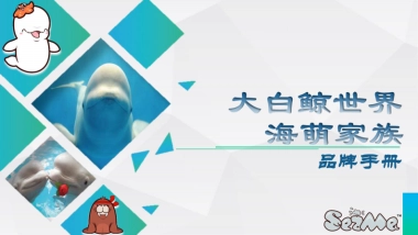 大白鲸世界品牌手册