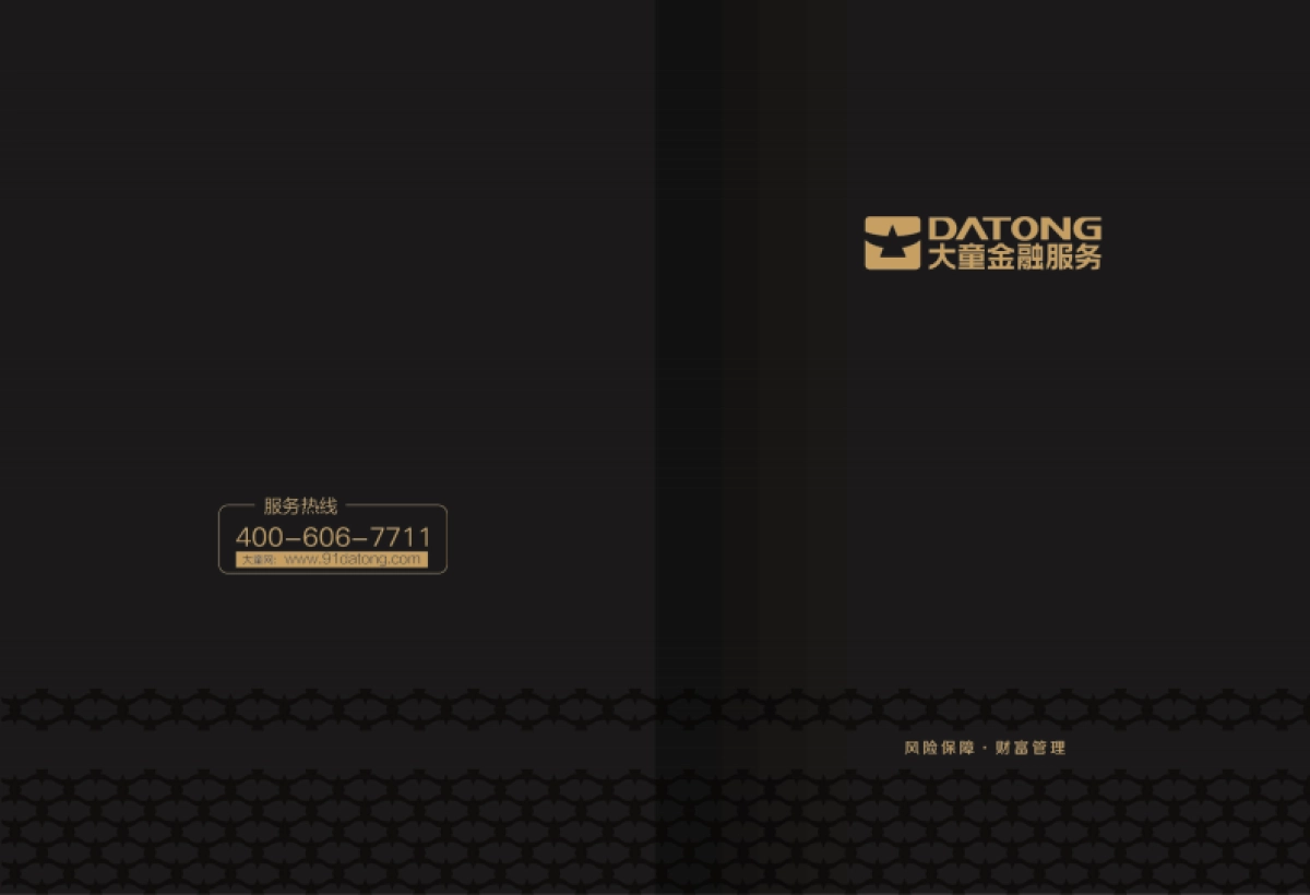 大童金融企业画册_第1页