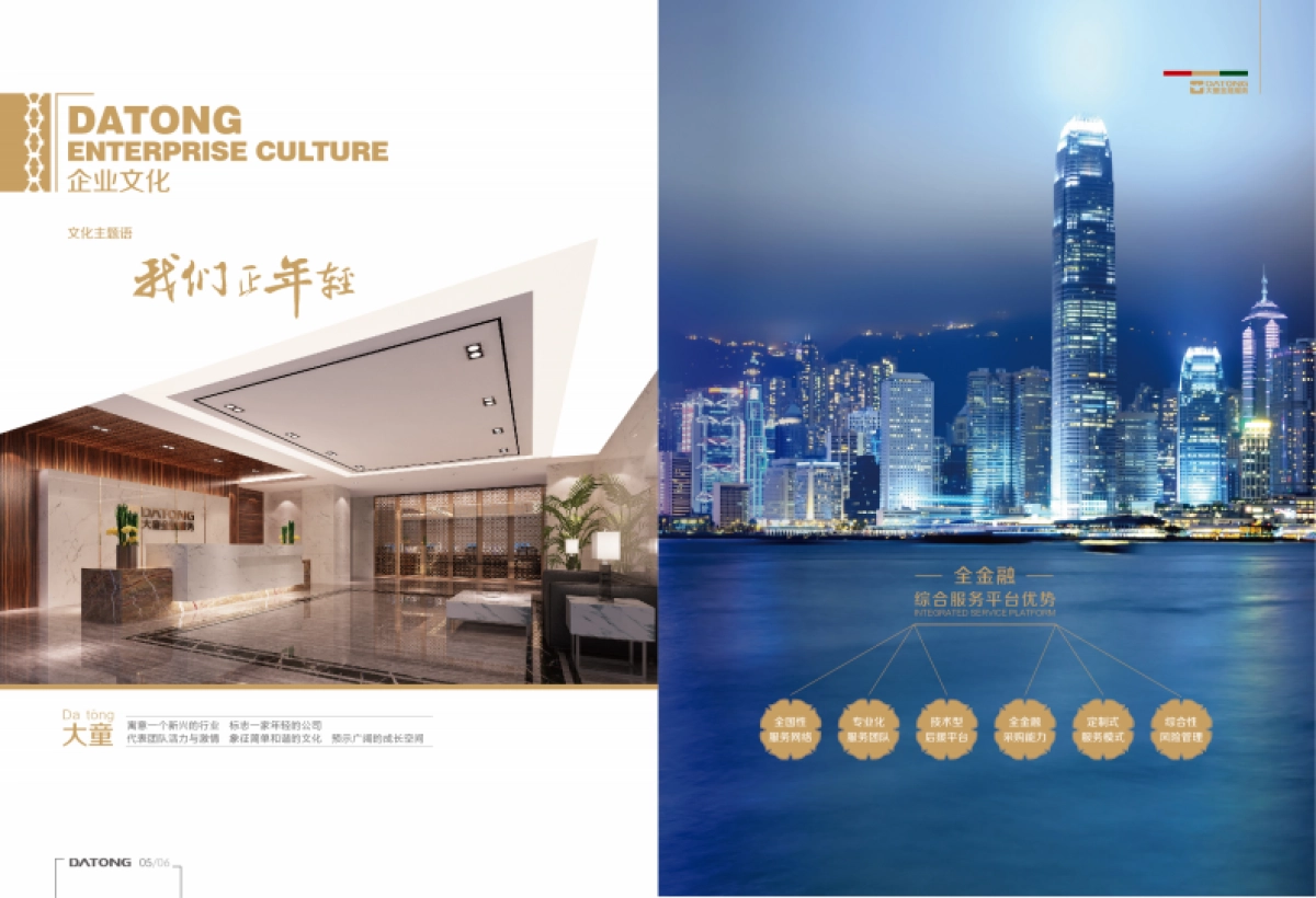 大童金融企业画册_第6页