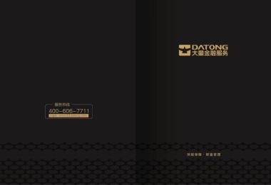 大童金融企业画册