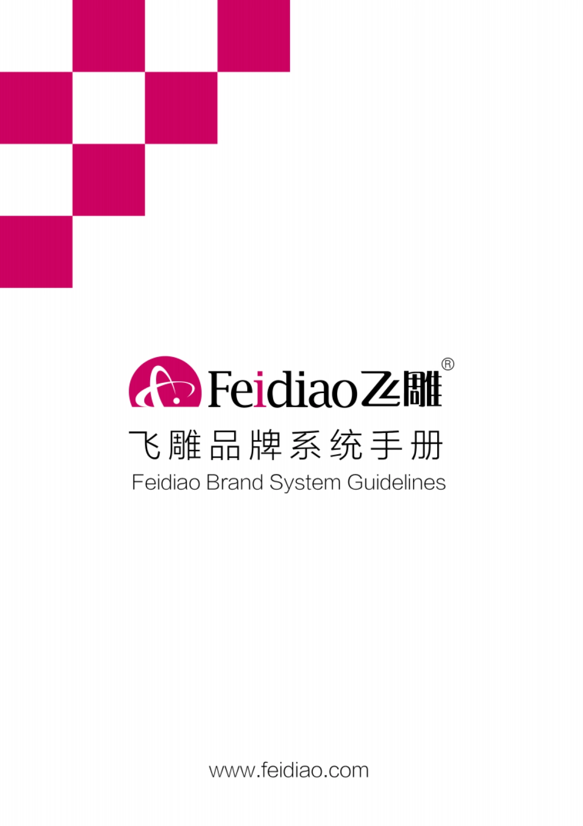 飞雕开关品牌手册_第1页