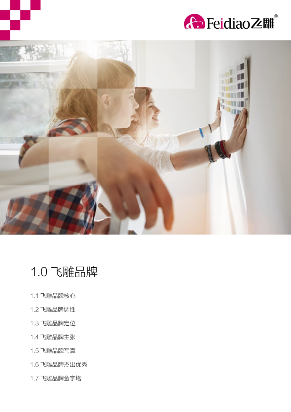 飞雕开关品牌手册_第3页