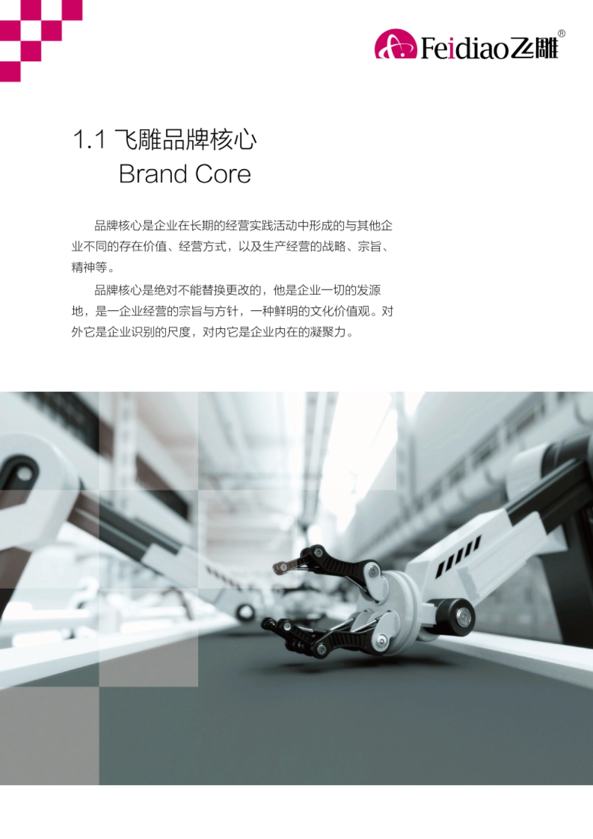 飞雕开关品牌手册_第4页