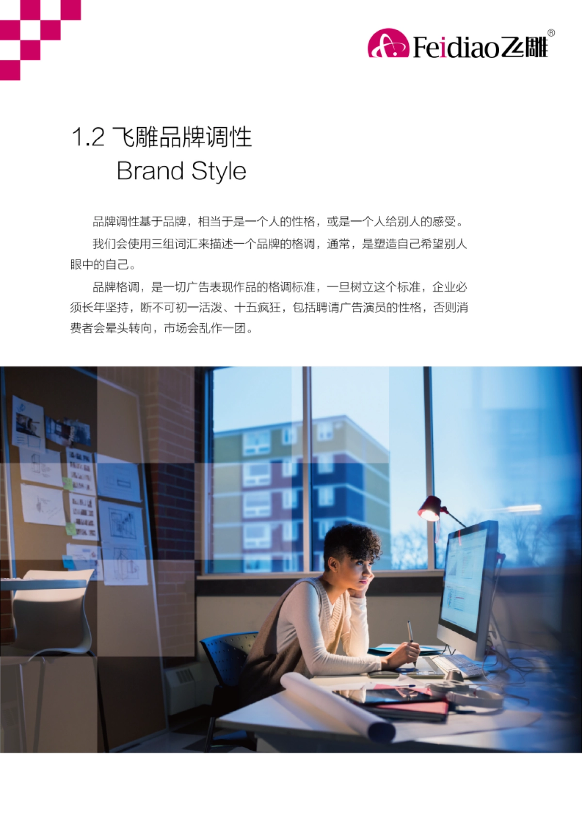 飞雕开关品牌手册_第9页