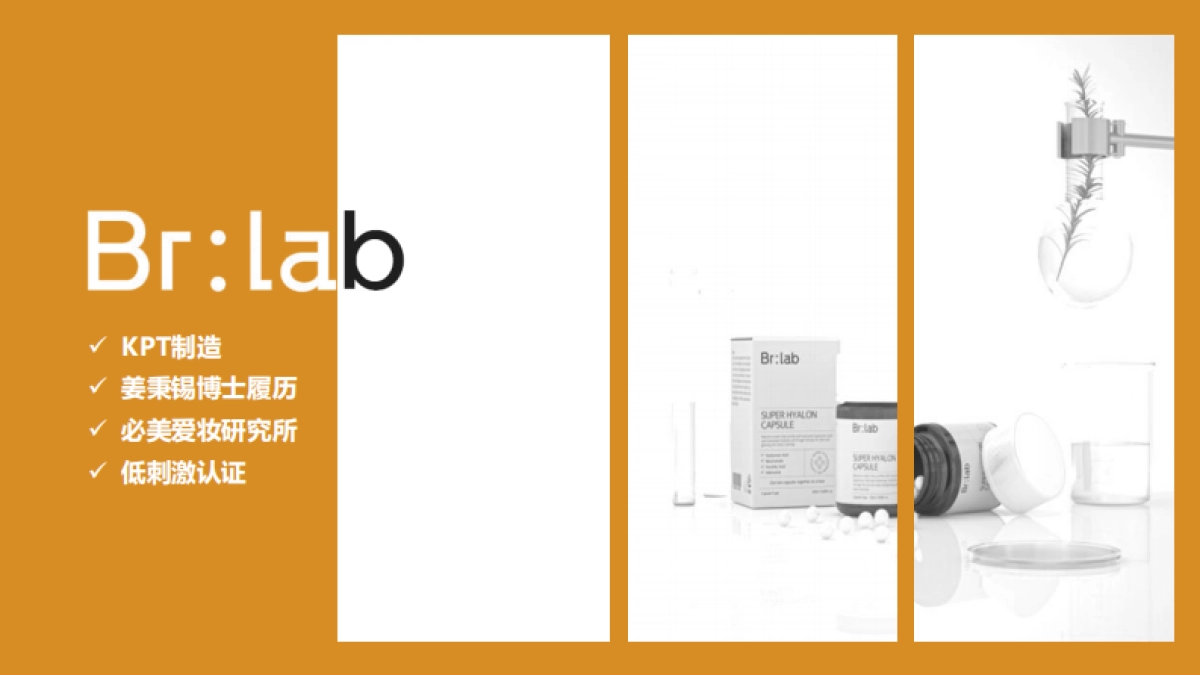 护肤品牌手册_第10页