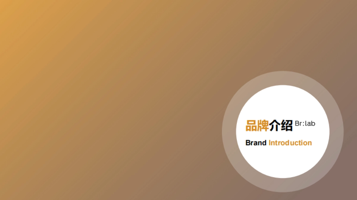 护肤品牌手册_第4页