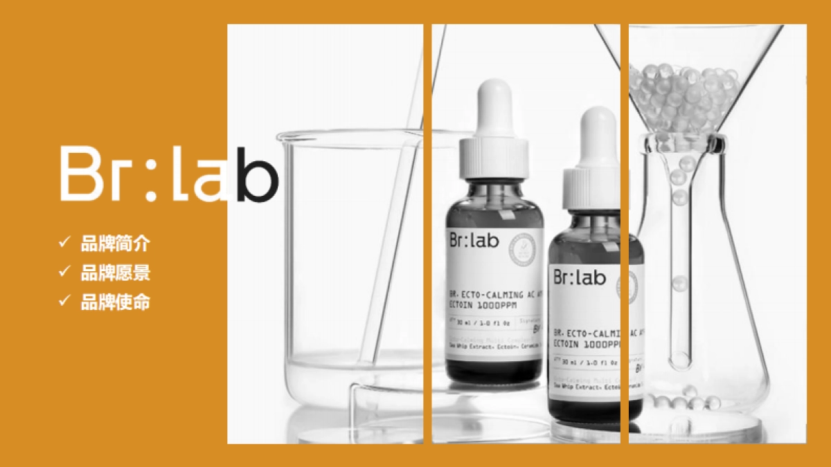 护肤品牌手册_第5页