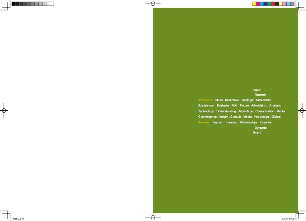 华通明略品牌手册_第2页
