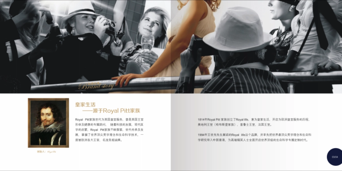 皇家生活国际集团品牌手册_第5页