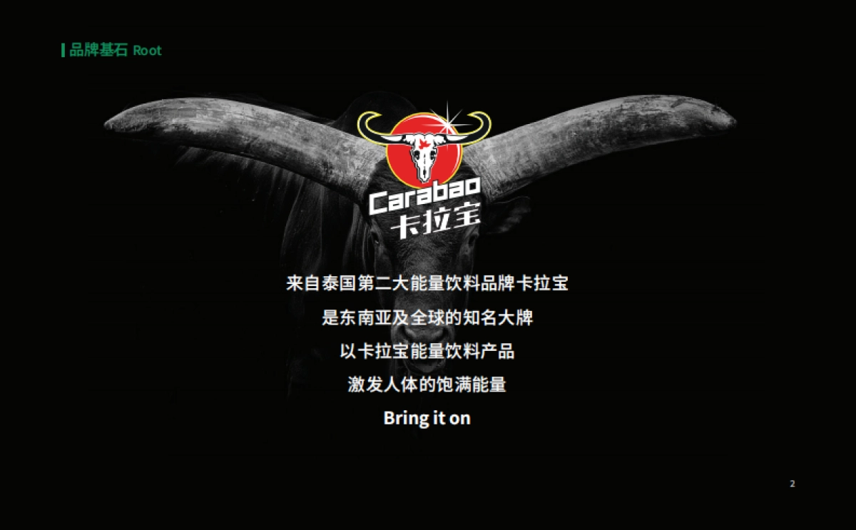 卡拉宝能量饮料品牌手册_第6页