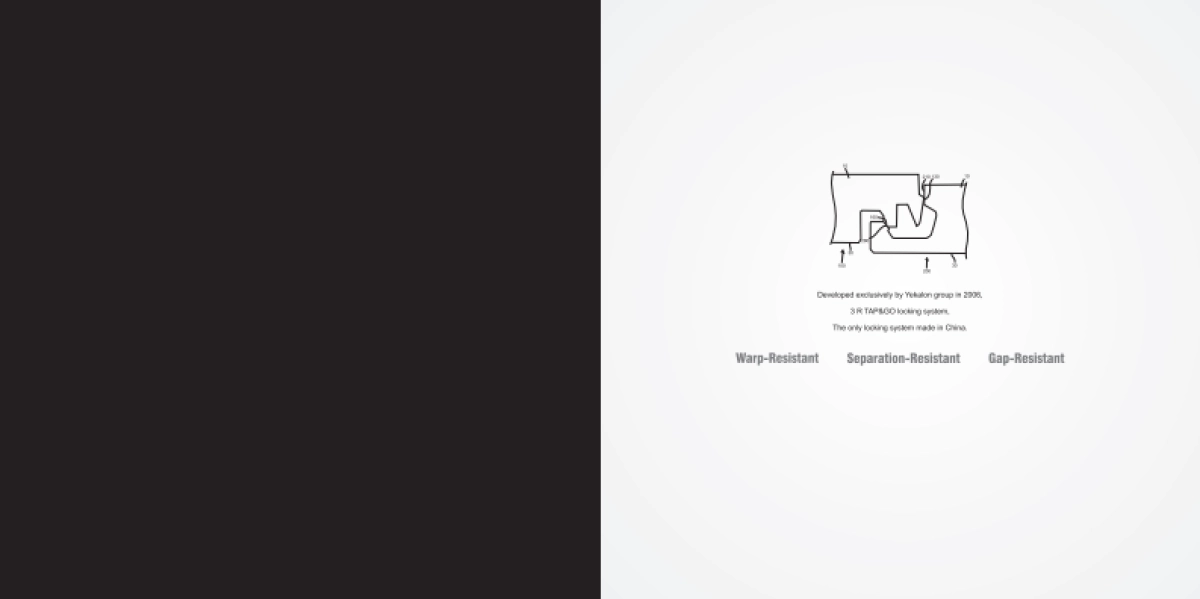 竹木木板品牌画册_第2页