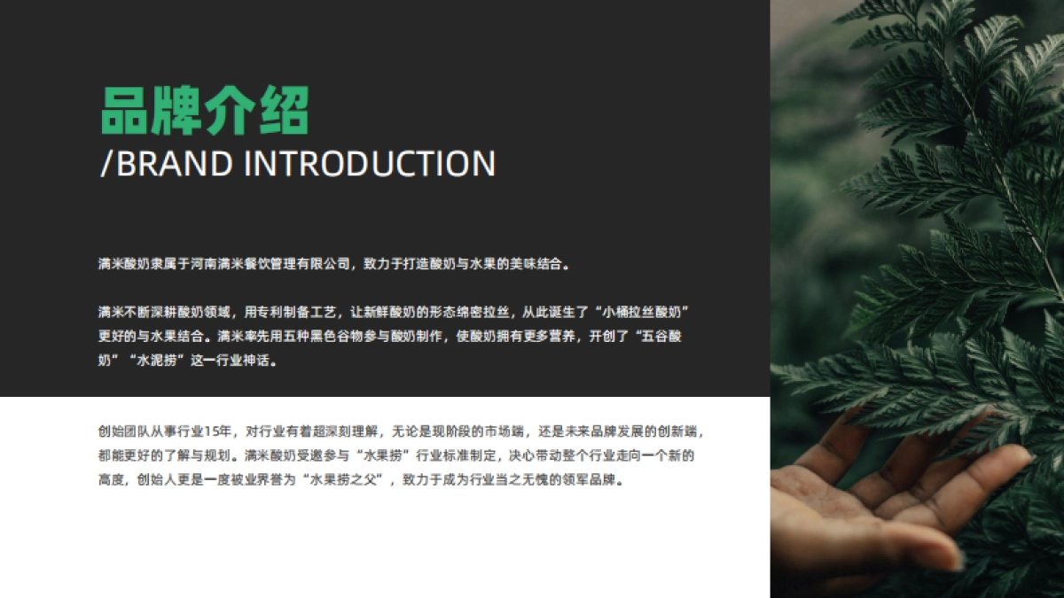 满米品牌手册_第6页