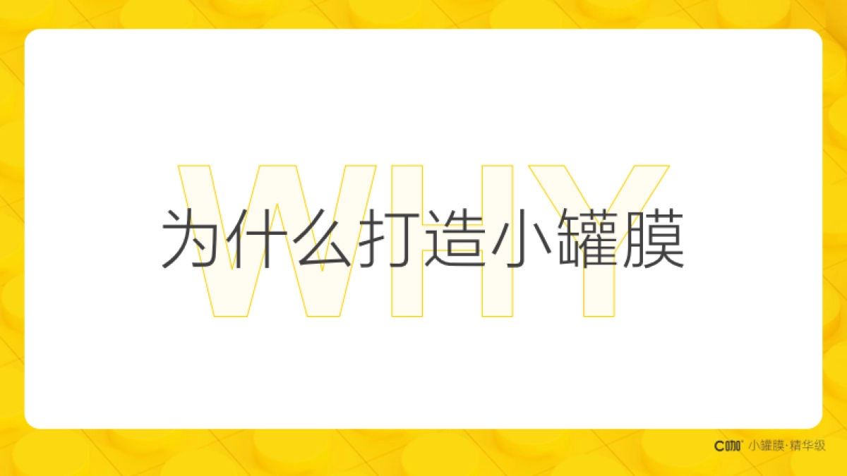 美妆护肤品牌C咖品牌手册_第4页