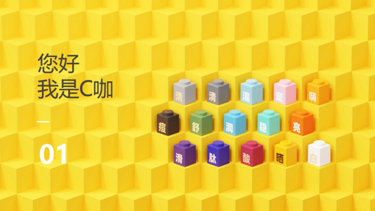 美妆护肤品牌品牌手册_第2页