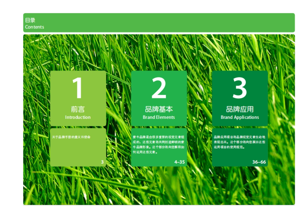 蒙牛集团品牌手册_第2页