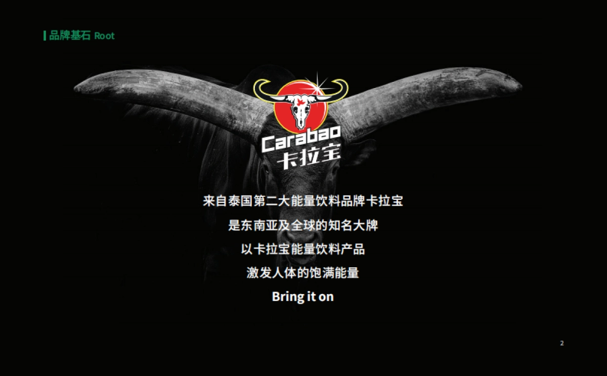能量饮料卡拉宝品牌手册_第6页