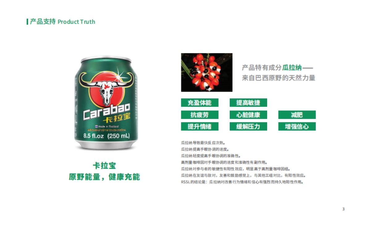 能量饮料卡拉宝品牌手册_第7页
