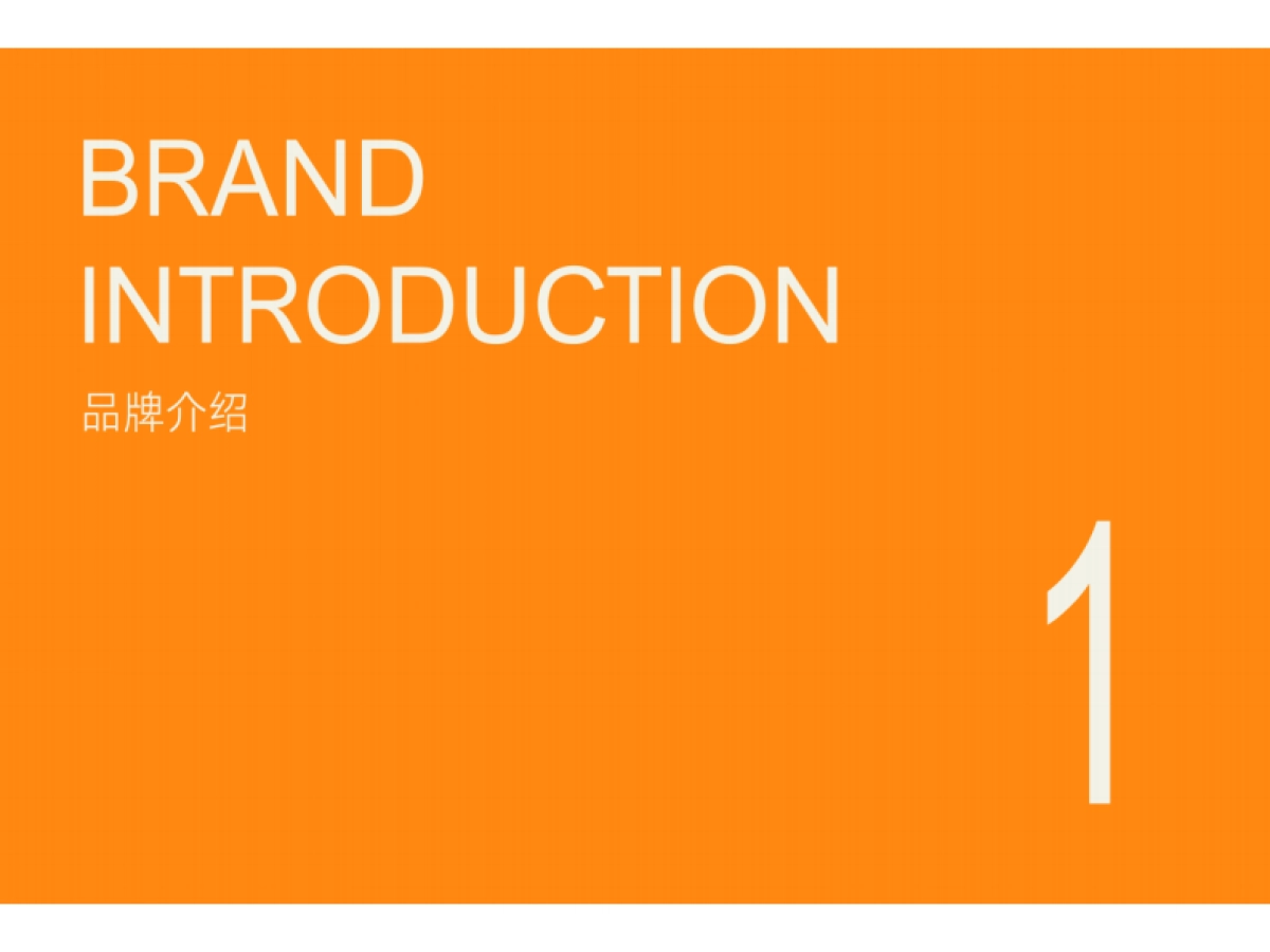 挪瓦咖啡品牌手册_第3页