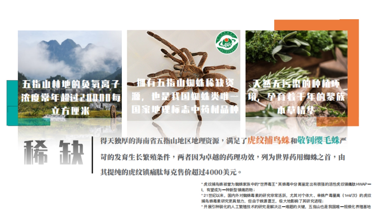 轻中医 新健康 蛛王品牌手册_第3页