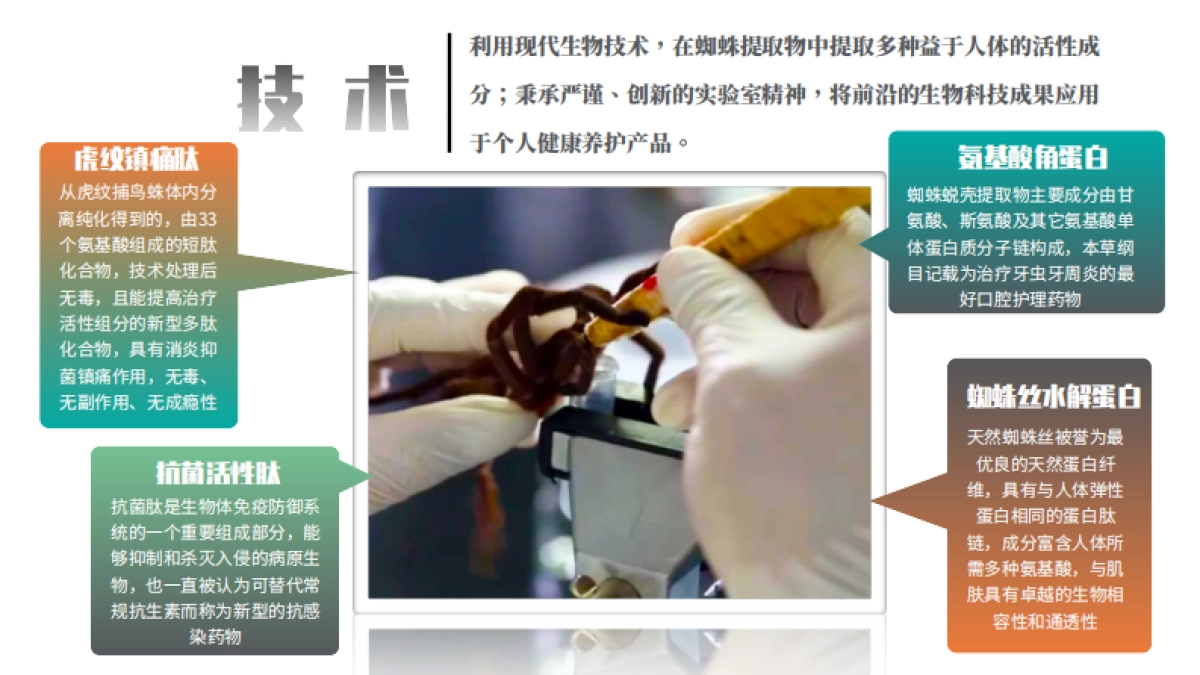 轻中医 新健康 蛛王品牌手册_第4页