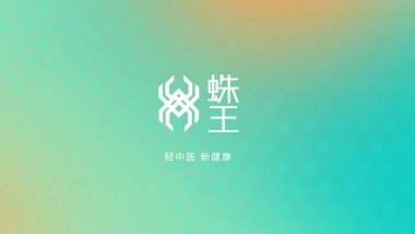 轻中医 新健康 蛛王品牌手册