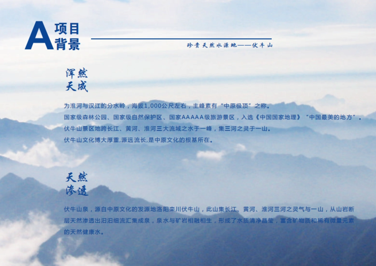 天然水品牌伏牛山泉品牌手册_第5页