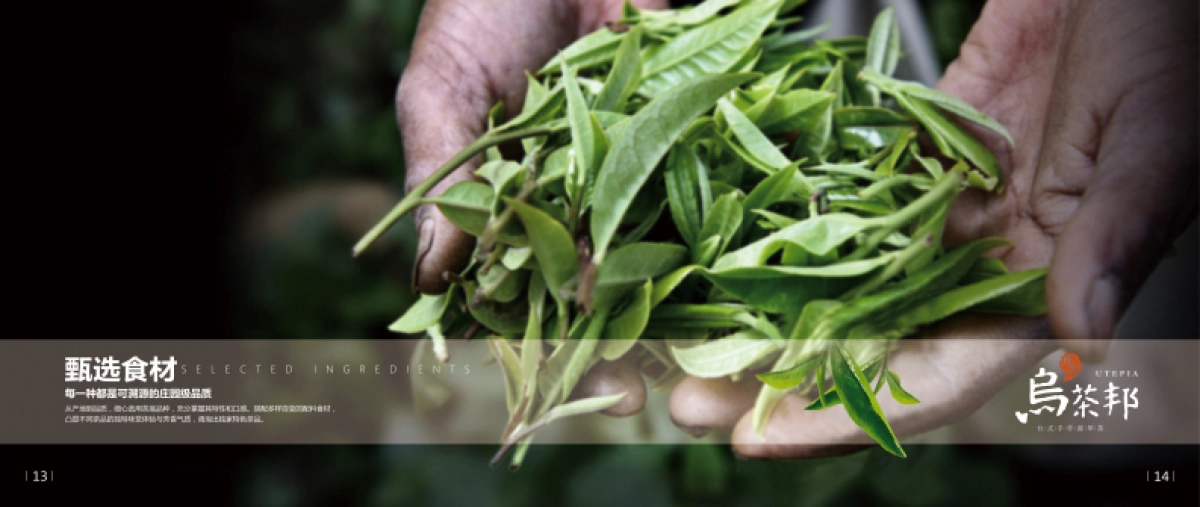 乌茶邦商务画册_第10页