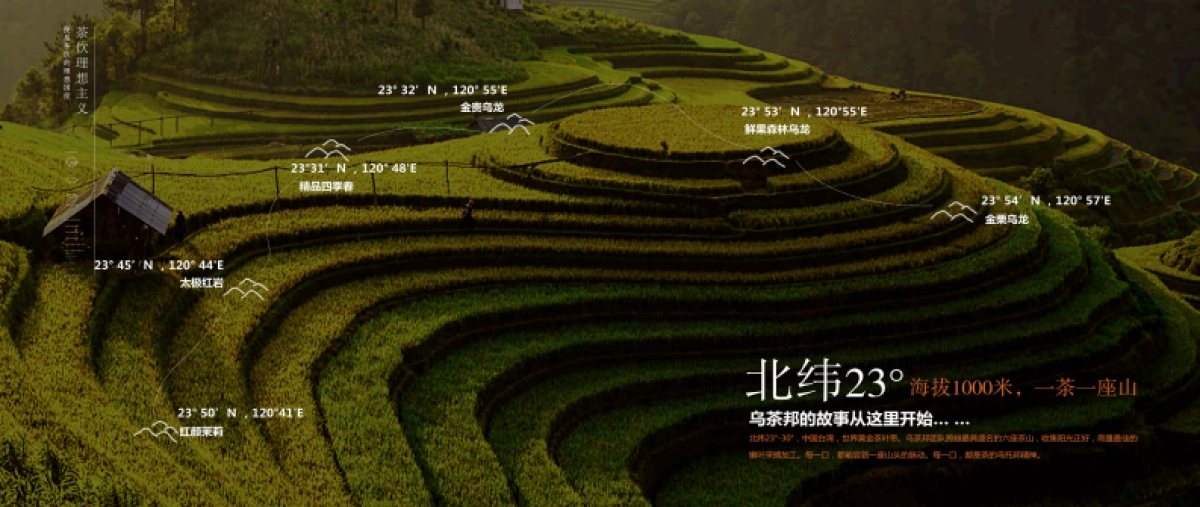 乌茶邦商务画册_第2页