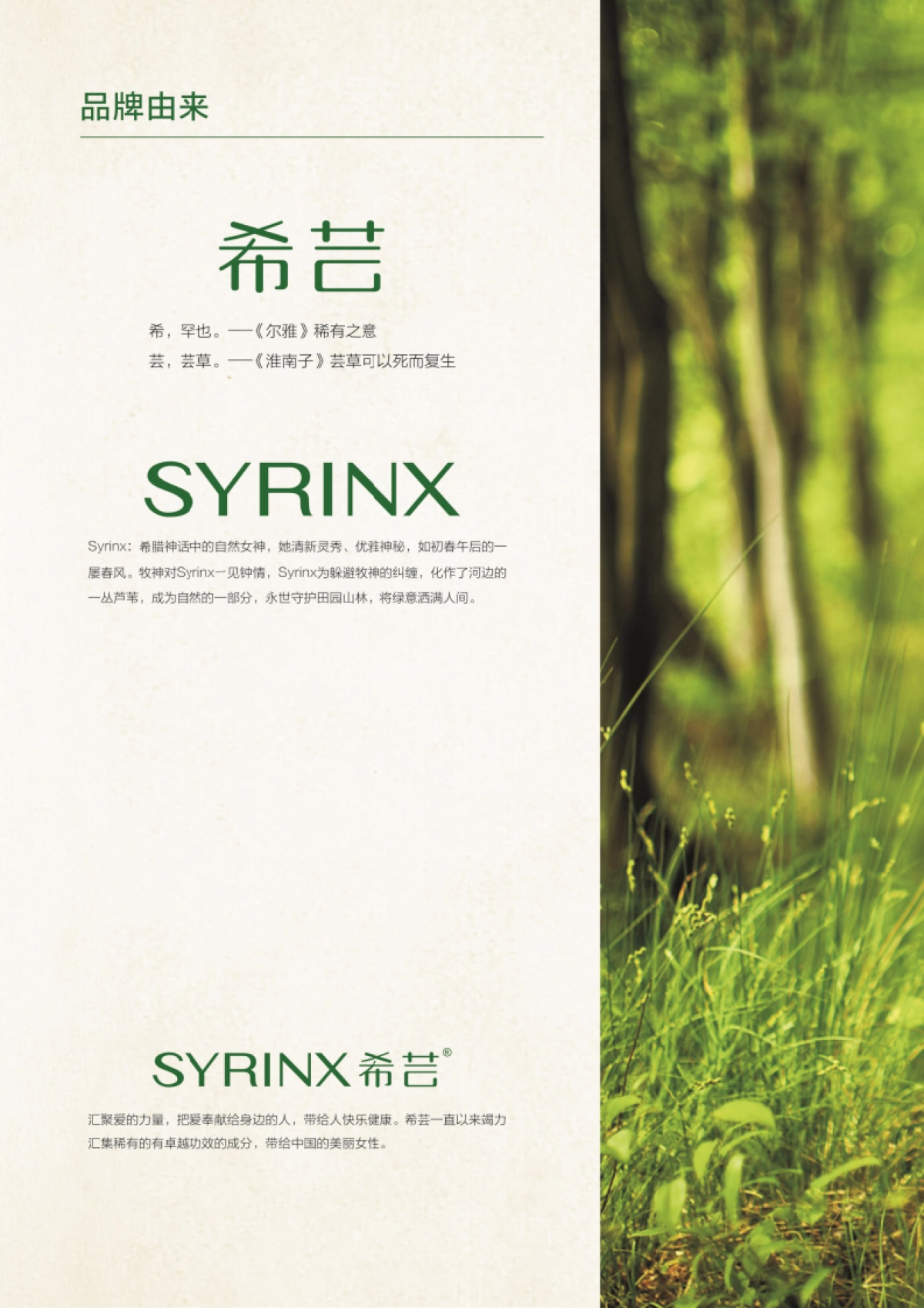 希芸品牌画册_第5页