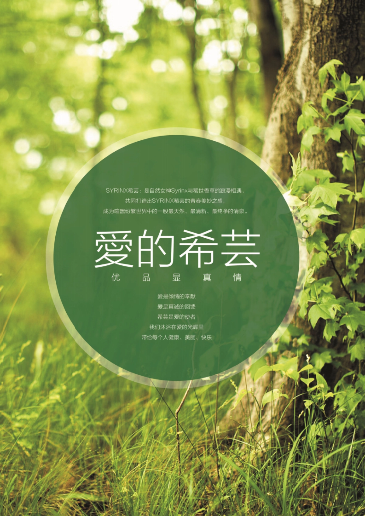 希芸品牌画册_第6页