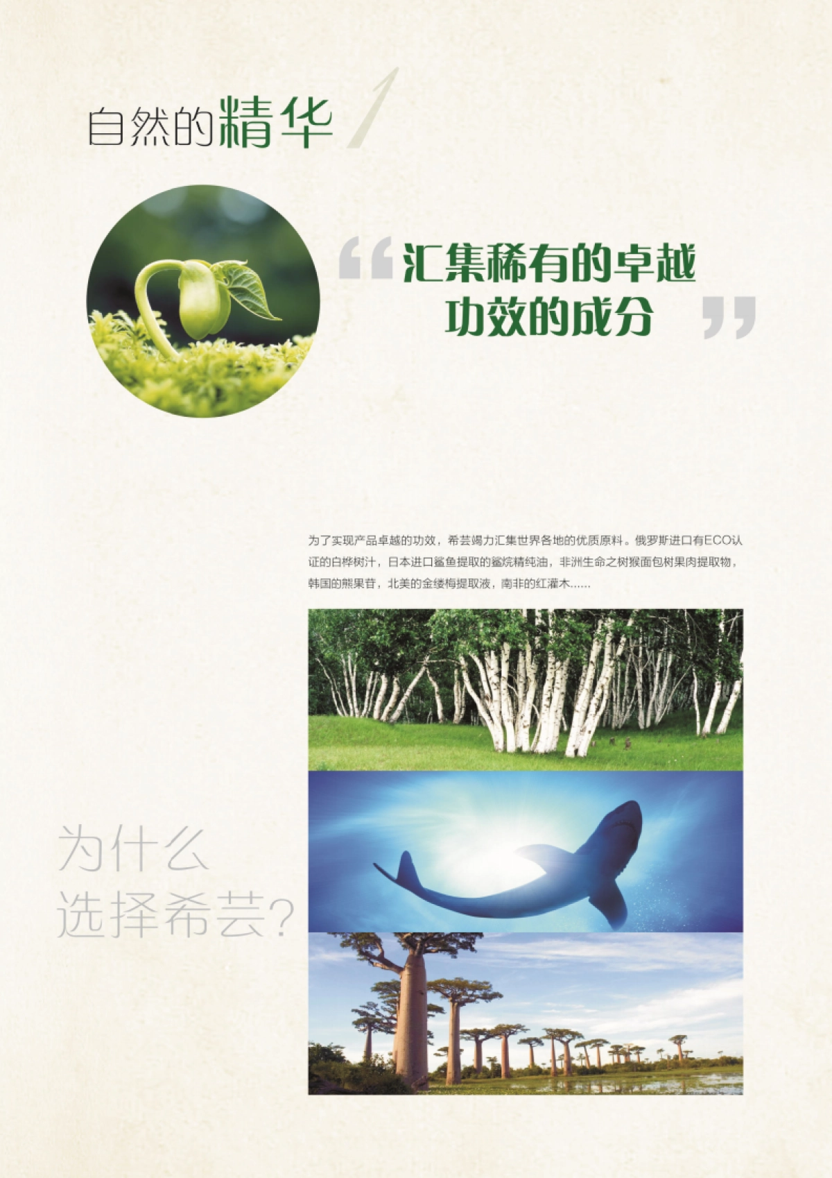 希芸品牌画册_第7页