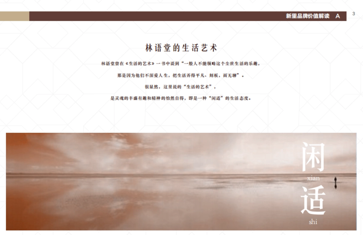 新里品牌手册_第6页