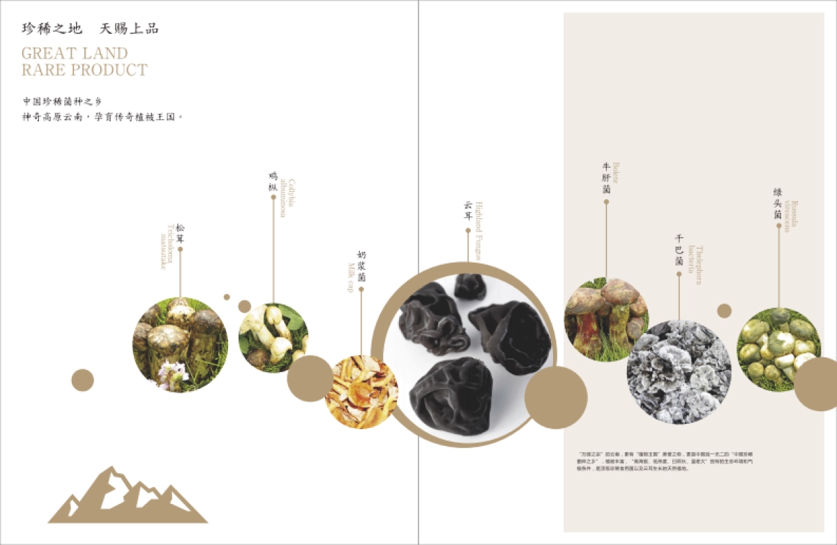 旭润庄园农产品品牌画册_第8页