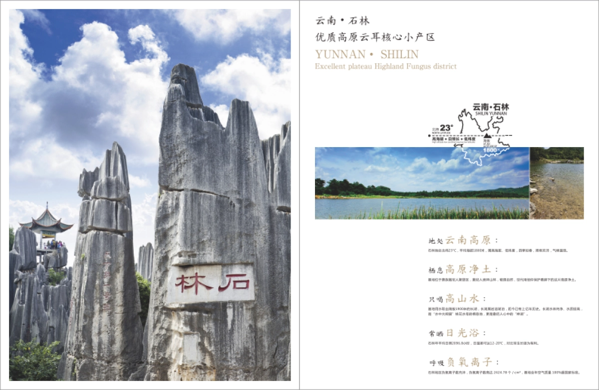 旭润庄园农产品品牌画册_第9页