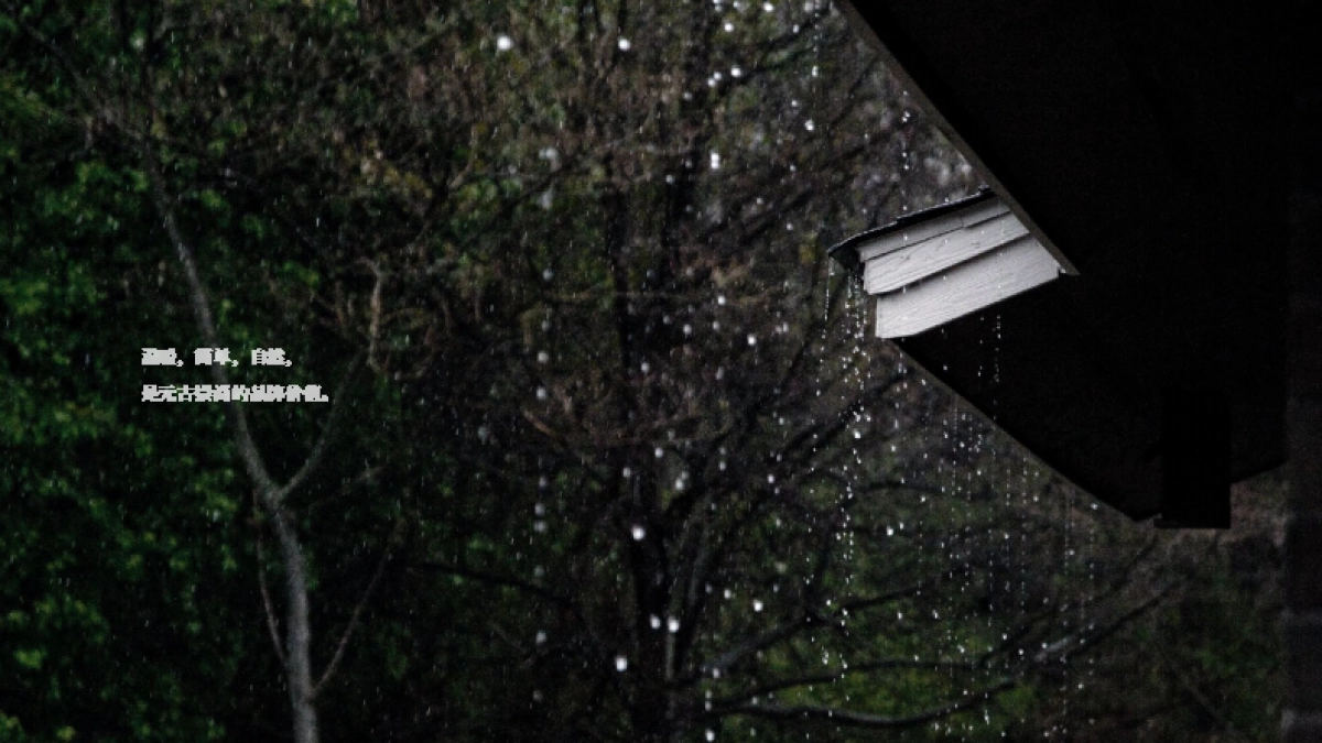 元古品牌手册_第3页