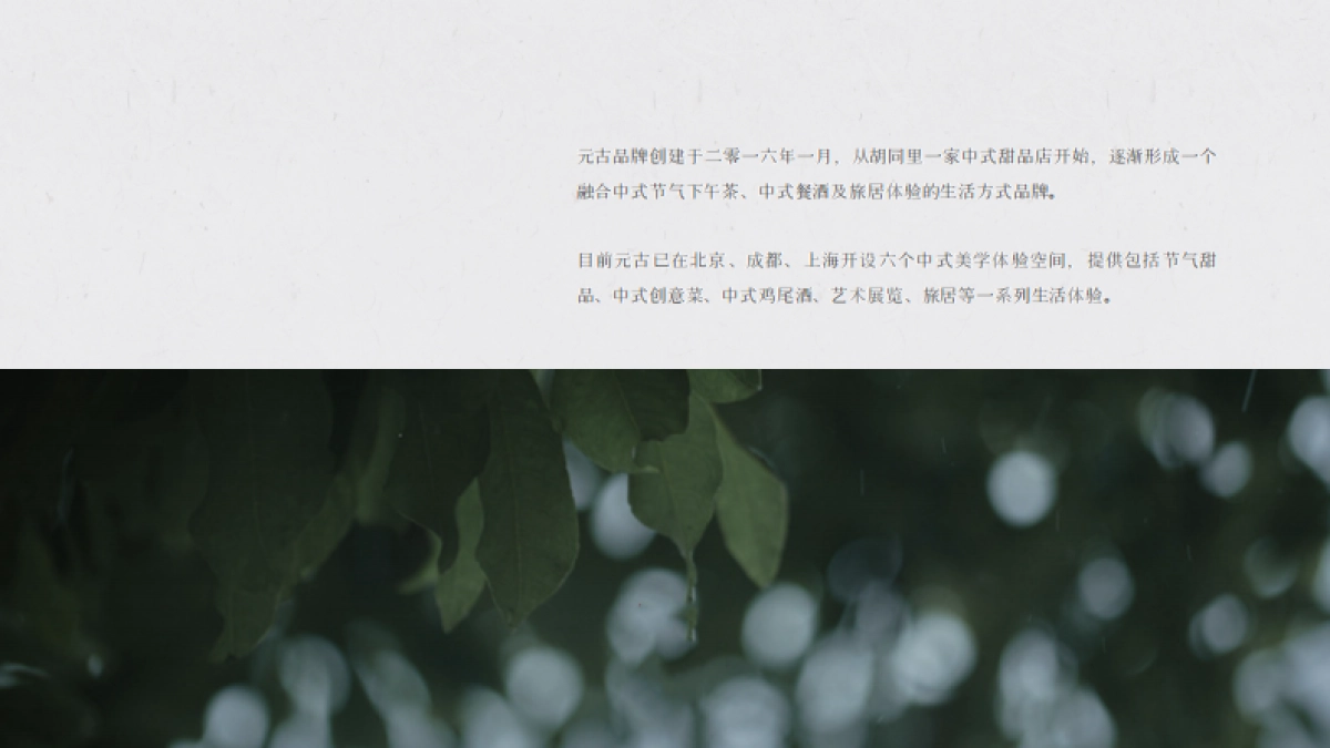 元古品牌手册_第5页