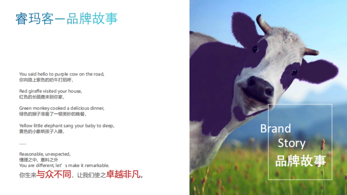 正式版-睿玛客企业画册_第6页