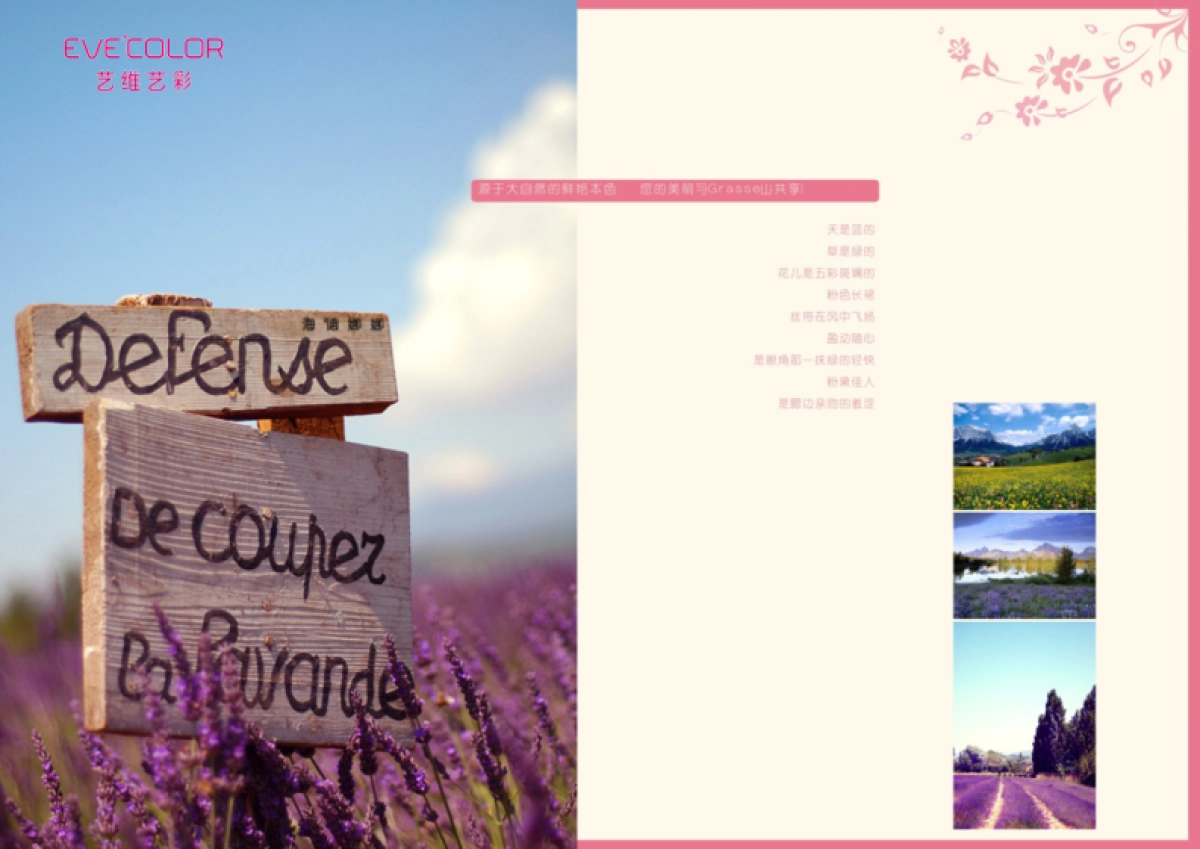 EVE COLOR品牌手册_第4页