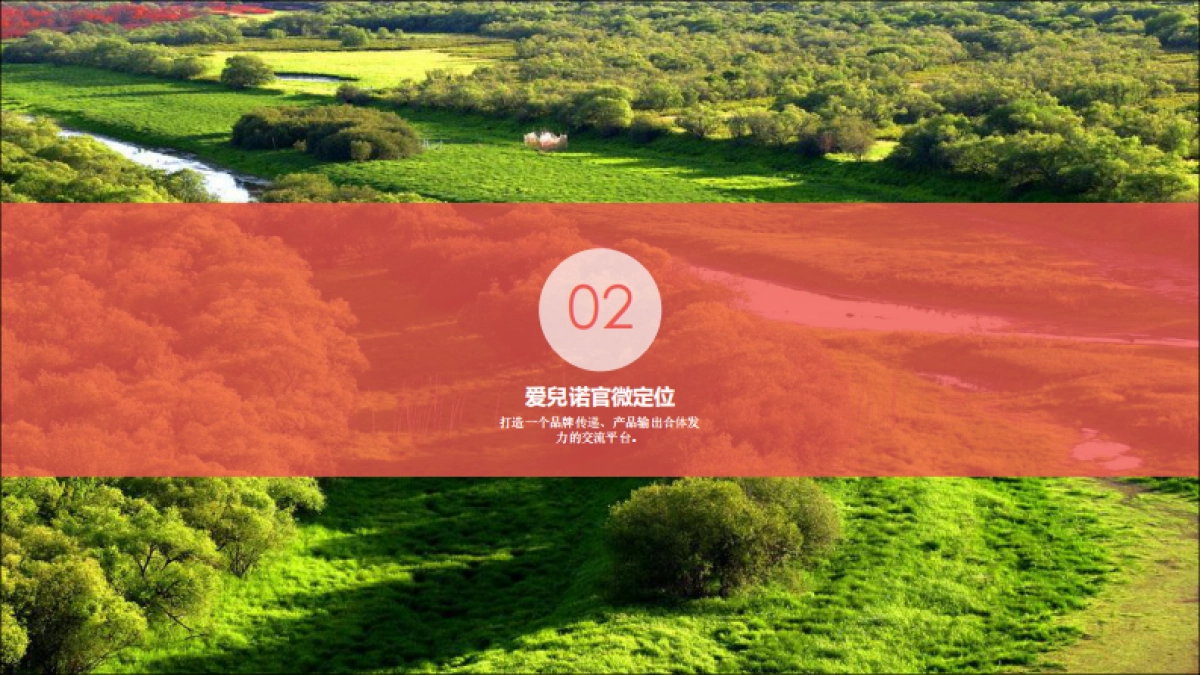 2018年爱兒诺品牌推广建议_第10页