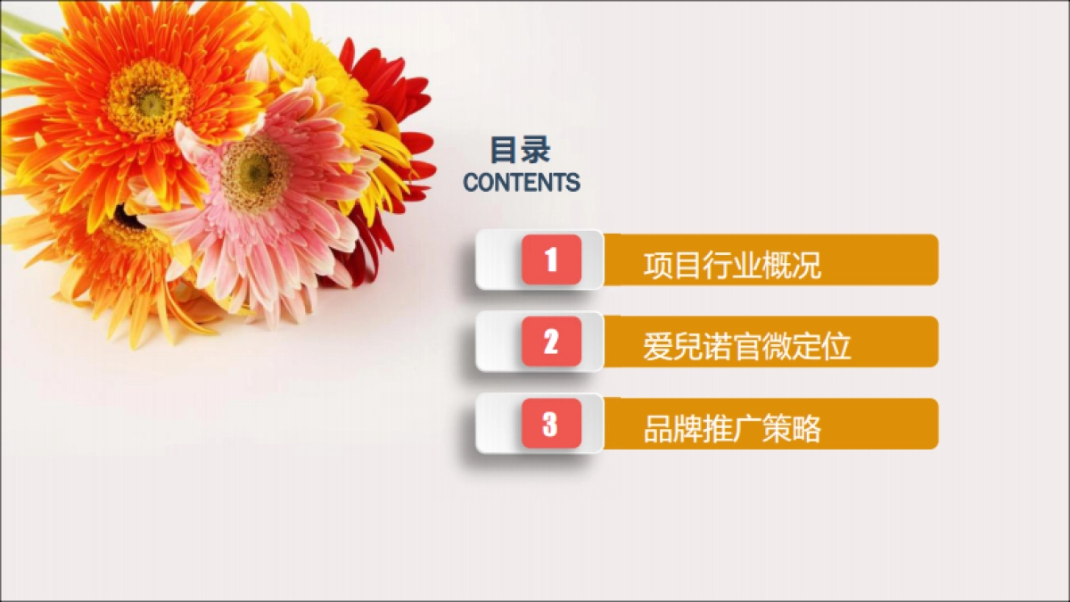 2018年爱兒诺品牌推广建议_第2页