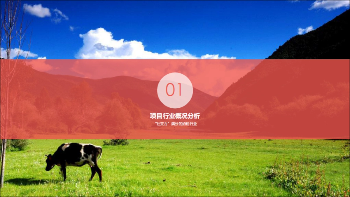 2018年爱兒诺品牌推广建议_第3页