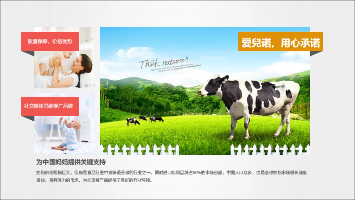 2018年爱兒诺品牌推广建议_第4页