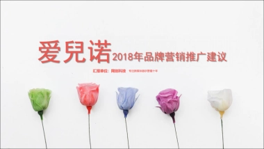2018年爱兒诺品牌推广建议