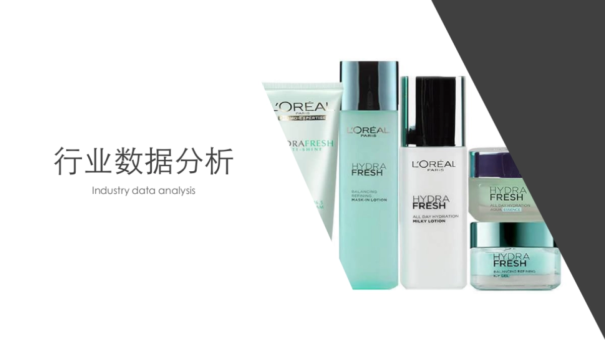 2020祛痘化妆品品牌构想及推广规划方案_第10页