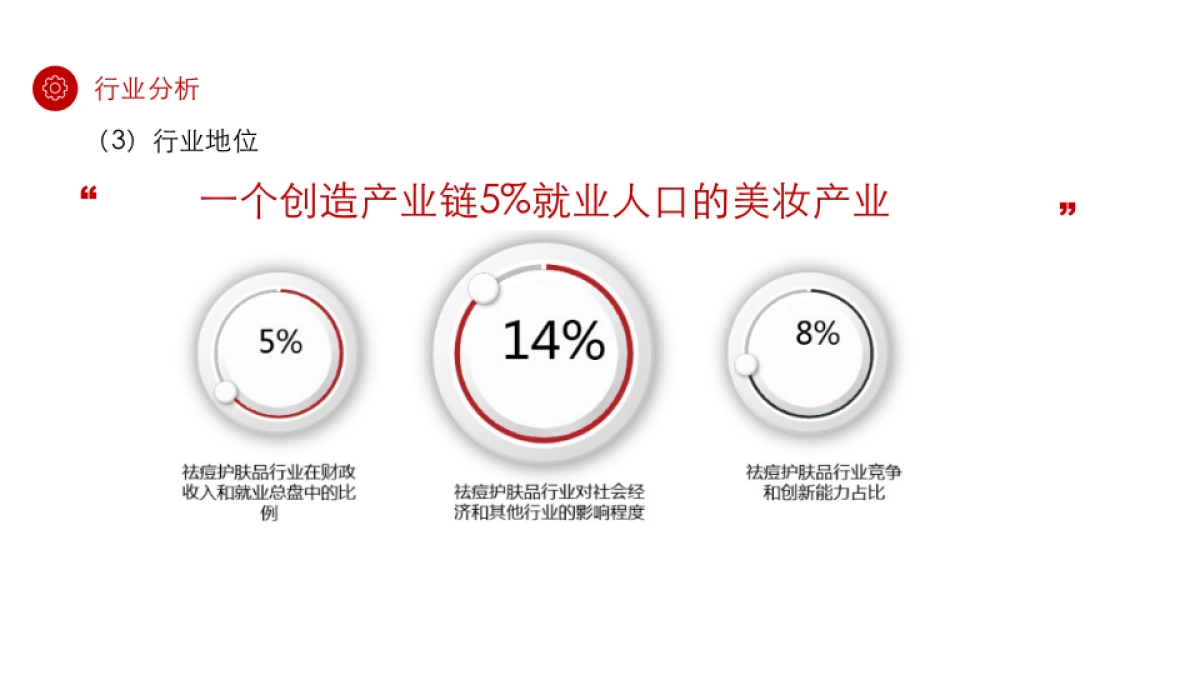 2020祛痘化妆品品牌构想及推广规划方案_第9页
