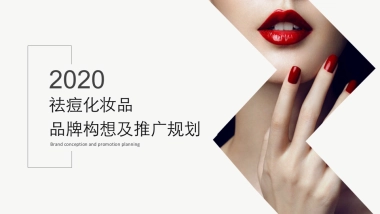 2020祛痘化妆品品牌构想及推广规划方案
