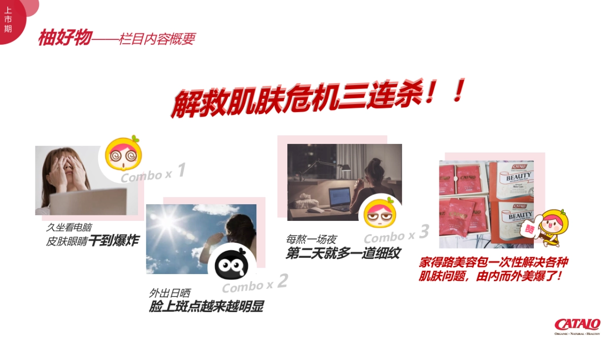 2023CATALO家得路品牌推广建议方案_第9页