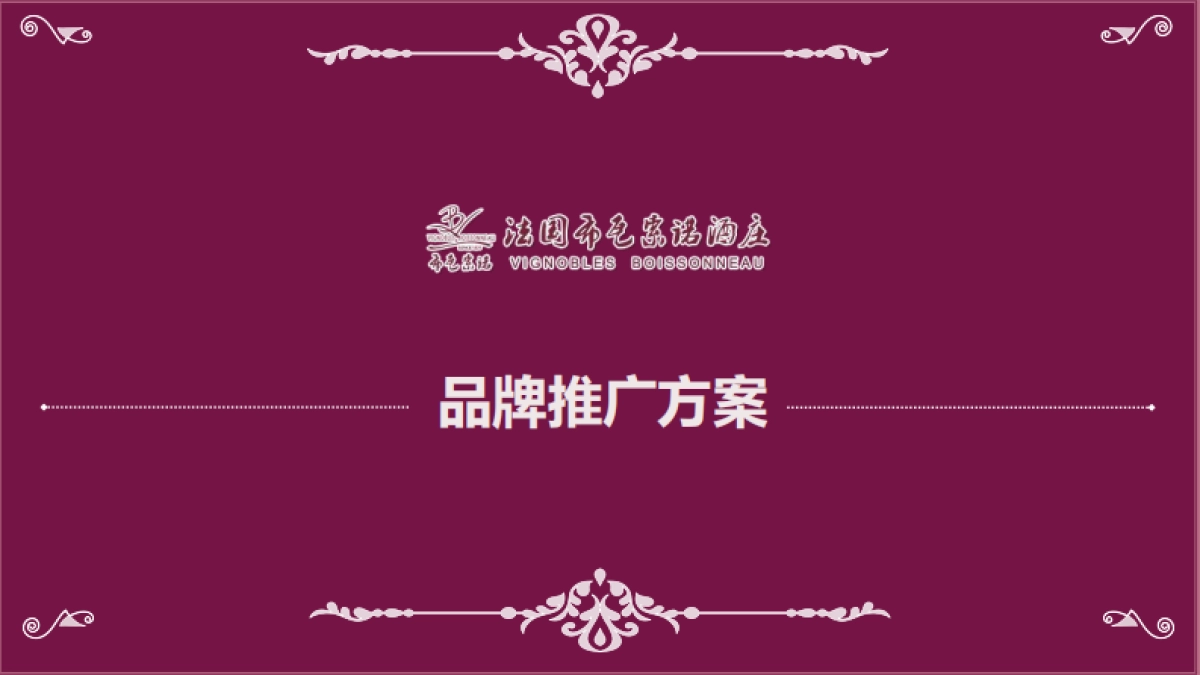 VB酒庄品牌推广方案_第1页